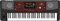 KORG PA700 RD профессиональная аранжировочная станция, 61 клавиша. Лимитированное издание - фото 155788