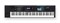 Roland JUNO-DS76 - синтезатор, 76 клав., 1200 зв., 30 уд. установок, полиф. 128. - фото 159511