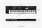 Roland JUNO-DS76 - синтезатор, 76 клав., 1200 зв., 30 уд. установок, полиф. 128. - фото 159515