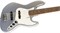 FENDER PLAYER JAZZ BASS®, PAU FERRO FINGERBOARD, SILVER 4-струнная бас-гитара, цвет серый - фото 161032