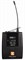 Direct Power Technology DP BP поясной передатчик, пластиковый корпус - фото 161282