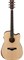 IBANEZ AW150CE-OPN ArtWood Dreadnought электроакустическая гитара - фото 161607
