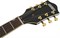 GRETSCH G5655TG EMTC CB JR CDG полуакустическая электрогитара, цвет зеленый - фото 161958