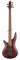 Ibanez SR505EL-BM 5-струнная бас-гитара - фото 164335