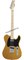 FENDER TENOR TELE MN BTB 4-струнная тенор-гитара, цвет кремовый, в комплекте чехол - фото 164663