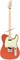 FENDER TENOR TELE MN FRD 4-струнная тенор-гитара, цвет красный, в комплекте чехол - фото 164707