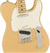 FENDER LE AM PRO LT ASH TELE MN HBL электрогитара, цвет Honey blond, в комплекте кейс - фото 164724