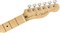 FENDER LE AM PRO LT ASH TELE MN HBL электрогитара, цвет Honey blond, в комплекте кейс - фото 164725