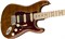 FENDER USA FLMTP STRAT ROSE MN GLDBRN электрогитара, цвет натуральный - фото 164796