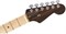 FENDER USA FLMTP STRAT ROSE MN GLDBRN электрогитара, цвет натуральный - фото 164797