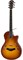 TAYLOR T5Z STANDARD HONEY SUNBURST полуакустическая гитара, цвет санбёрст, в комплекте кейс - фото 165469