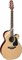 TAKAMINE PRO SERIES 1 P1NC электроакустическая гитара типа NEX CUTAWAY с кейсом, цвет натуральный - фото 19147