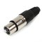 XLR3MXs
            Разъем XLR3MXs
Разъем XLR 3-х пиновый кабельный папа. - фото 192338
