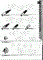 92M-507(3P) gold (TQ-3FC) - фото 199889