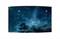 55" OLED дисплей LG 55EF5F - фото 204671