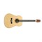 Peavey DW-1 Acoustic NAT Электроакустическая гитара с хроматическим тюнером - фото 205736