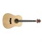 Peavey DW-2 Acoustic NAT  Электроакустическая гитара - фото 205737