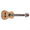 Peavey Student Ukulele  Укулеле - фото 205740