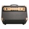 Peavey Ecoustic E110 Комбоусилитель для акустической гитары с процессором эффектов - фото 205907