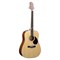 GregBennett GD-60/N - Акустич.гитара, dreadnought,корпус-ель,цвет натуральный (Индонезия) - фото 21529