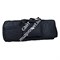 PROEL BAG910PN - чехол для клавиш, размеры 1050х420х170 мм - фото 23134