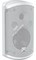 Turbosound IMPACT TCI52-TR-WH (цена за пару) настенная АС, 5"+1", 43Гц-20кГц -10дБ, 100°Hx70°V, 16Ом/70В/100В, 60/30/15/7,5Вт, 240Вт пик, IP54, цвет белый, 2 x M6, 300 x 164 x 158 мм, 3,5 кг - фото 28585
