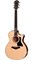 TAYLOR 314ce 300 Series, гитара электроакустическая, форма корпуса Grand Auditorium, кейс - фото 28724