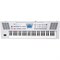 ROLAND BK-3-WH - синтезатор, 61 кл., звуков 851+53 ударных, 128 полиф., 250 ритмов, белый - фото 31776