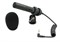 PRO24CMF/Стерео X/Y микрофон конденсаторный кардиоидный (х2) с кабелем/AUDIO-TECHNICA - фото 33771