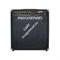 BASS100/Басовый комбо 15"+1" 100 Вт /ROCKTRON - фото 34451