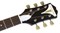 EPIPHONE PRO-1 PLUS Acoustic Natural акустическая гитара, цвет натуральный - фото 38647