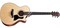 TAYLOR 314ce 300 Series, гитара электроакустическая, форма корпуса Grand Auditorium, кейс - фото 41748