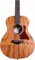 TAYLOR GS MINI MAH GS Mini, гитара акустическая, форма корпуса парлор, жесткий чехол - фото 42899