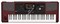 KORG PA1000 профессиональная аранжировочная станция, 61 клавиша. - фото 43810