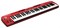 BEHRINGER UMX610 полноразмерная USB / MIDI клавиатура, 61 динамическая клавиша, 8 регуляторов, 10 переключателей - фото 43864