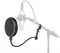 Tascam TM-AG1 ветрозащита "Pop-filter", круглый экран на креплении Gooseneck со струбциной - фото 45946