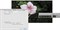 Avid Video Satellite LE Option - фото 54779