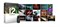 Native Instruments Komplete 12 Select - фото 57336
