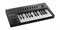 Native Instruments KOMPLETE KONTROL A25 - фото 57372