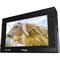 5.46" FHD Viewfinder (3G,HD/SD-SDI, HDMI, Analogue), Waveform/Vector, Y Level check, OPT-AF-058W included - фото 61739