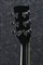 IBANEZ PF15-BK акустическая гитара - фото 63293