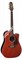 TAKAMINE PRO SERIES P5DC WB электроакустическая гитара типа DREADNOGHT CUTAWAY с кейсом, цвет - коричневый Whiskey Brown, верхня - фото 63747