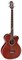 TAKAMINE PB5 ANS электроакустическая гитара типа JUMBO CUTAWAY с кейсом, цвет - Gloss ANS, верхняя дека - ель, нижняя дека и об - фото 63770