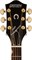 Gretsch G5031FT Rancher™ Dreadnought, Fideli-Tron Pickup, Sunburst Электроакустическая гитара, цвет санберст - фото 63836