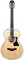 TAYLOR 312e 12-Fret 300 Series, гитара электроакустическая, форма корпуса Grand Concert, кейс - фото 64425