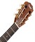 TAYLOR 322ce 12-Fret 300 Series, гитара электроакустическая, форма корпуса Grand Concert, кейс - фото 64448