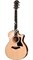 TAYLOR 314ce 300 Series, гитара электроакустическая, форма корпуса Grand Auditorium, кейс - фото 64453
