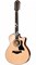 TAYLOR 356ce 300 Series, гитара электроакустическая двенадцатиструнная, форма корпуса Grand Symphony, кейс - фото 64482