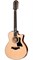 TAYLOR 356ce 300 Series, гитара электроакустическая двенадцатиструнная, форма корпуса Grand Symphony, кейс - фото 64483