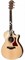 TAYLOR 412ce-R 400 Series, гитара электроакустическая, форма корпуса Grand Concert, кейс - фото 64500